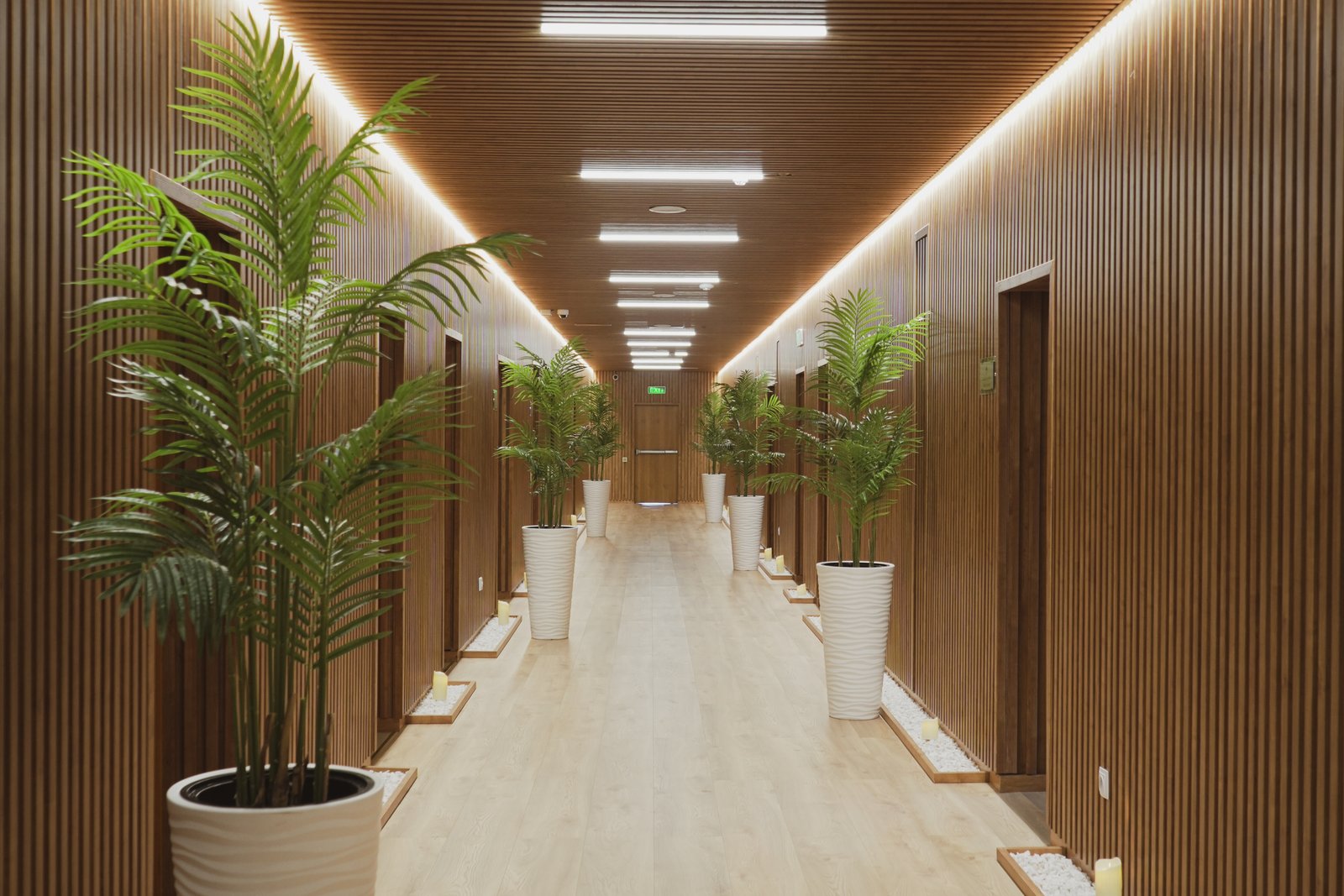 SPA-комплекс